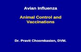 Avian Influenza Animal Control and · Planning for Culling When planning to AI disposed poultry, the following should be considered: – Minimising handling and movement of animals