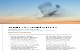 What Is Complexity? Final 26.01.17 - The Ellen MacArthur ... · William Ross Ashby (1903-1972) Cybernetics Alan Turing (1912-1954) Morphogenesis (theory of how biological growth occurs)