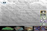 Process Mineralogy Course information · site specific process mineralogy case studies exist should a company send three or more delegates. Registration to the course includes a course