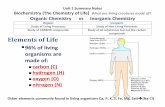 Unit 2 Summary Notes Biochemistry (The Chemistry of Life ... · Unit 2 Summary Notes Biochemistry (The Chemistry of Life) What are living creatures made of? Organic Chemistry vs Inorganic