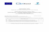 Deliverable reference number: D2.5 Deliverable title: Final QoE … · 2017-04-20 · D2.5 - Final QoE research recommendations report OptiBand 248495 31/10/2012 OptiBand 3 OptiBand