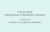 Psych 3102 Introduction to Behavior Geneticsibghewittc/lecture16.pdf · 2011-10-17 · Psych 3102 Introduction to Behavior Genetics Lecture 16 Genetics of Cognitive Disabilities .