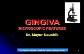 GINGIVA - dental.subharti.orgdental.subharti.org/periodonotics/Gingiva_microscopy.pdf- Present in basal & spinous layers. - Synthesize melanin in organelles ... GLYCOGEN Concentration