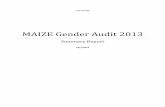 MAIZE Gender Audit 2013...3 1. Introduction 1.1 Background on the MAIZE gender audit Gender relations play a significant role in the food security and well-being of communities, households