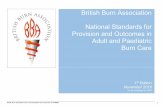 British Burn Association National Standards for Provision ... · The NNBC was the forerunner of the Burn Care Clinical Reference Group (CRG) and thus, the 2013 National Burn Care