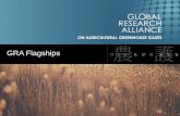 GRA Flagships - Global Research Alliance · 2018-02-20 · GRA Flagships –process • GRA Council endorsed development of four GRA Flagships: •Enteric Fermentation •Agricultural
