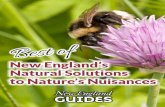 New England’s Natural Solutions to Nature’s NuisancesNew England’s Natural Solutions to Nature’s Nuisances. 1 NeW eNGLaND ToDaY Index Fleas ... age fleas from setting up house