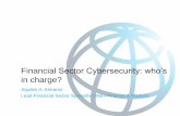 Financial Sector Cybersecurity: who’spubdocs.worldbank.org/en/370701446574212560/pdf/... · management, namely, cost, human capital, hardware and software, vendors and service providers,
