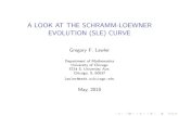 A LOOK AT THE SCHRAMM-LOEWNER EVOLUTION (SLE) …smirnov/conferences/ascona/slides/lawler.pdfA LOOK AT THE SCHRAMM-LOEWNER EVOLUTION (SLE) CURVE Gregory F. Lawler Department of Mathematics