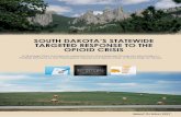Issued October 2017 - South Dakotadoh.sd.gov/documents/news/SDOpioidAbuseStrategicPlan.pdfStatus of Plan Development Two efforts led by different state agencies in South Dakota drove