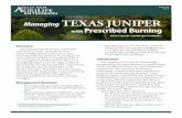 Managing TEXAS JUNIPER with Prescribed Burningcounties.agrilife.org/collin/files/2019/05/ERM-046-Managing-Texas-Juniper-with...An effective juniper management plan takes these physical