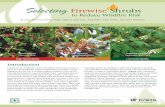 SelectingFirewise Shrubs - Southern Researchthough Chinese juniper (Juniperus chinensis) and Ashe juniper (Juniperus asheii) are in the same genus, Chinese juniper is highly flammable