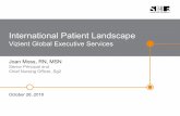 International Patient Landscape · 2019-07-29 · Source: Sg2 Interview, October 2016; Sg2 Analysis, 2018. LARGE DESTINATION PROVIDER Essential Factors Reputation and Brand Physician