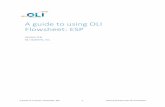 A guide to using OLI Flowsheet: ESP Guides/OLI Flowsheet 9... · A guide to using OLI Flowsheet: ESP 1 Getting Started with OLI Flowsheet . A guide to using OLI Flowsheet: ESP Version