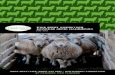 EWE BODY CONDITION SCORING (BCS) HANDBOOK · BCS and the impact on your bottom line One of the key drivers of profit in a sheep flock is the kgs of lamb weaned per hectare. Ewe BCS