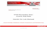 OTN Developer Day: Oracle Big Data Hands On Lab Manual · 3 Oracle NoSQL Database Oracle NoSQL Database Hands on Workshop Lab Exercise 1 – Configure and deploy a single instance