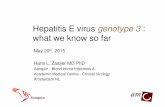 Hepatitis E virus genotype 3 - IPFA · Hepatitis E virus genotype 3 : what we know so far May 20 th, 2015 Hans L. Zaaijer MD PhD Sanquin - Blood-borne Infections & Academic Medical