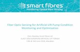 Fiber Optic Sensing for Artificial Lift Pump Condition ......Pioneering Innovation in Optical Fiber SensingPioneering Optical Fibre Sensing Fiber Optic Sensing for Artificial Lift