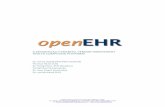A SEMANTICALLY-ENABLED, VENDOR-INDEPENDENT HEALTH … · 2019-01-04 · openEHR – a semantically-enabled health computing platform . 2 INTRODUCTION . The arrival of computers created
