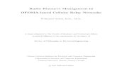 Radio Resource Management in OFDMA-based Cellular Relay ......Radio Resource Management in OFDMA-based Cellular Relay Networks Mohamed Salem, B.Sc, M.Sc. A thesis submitted to The