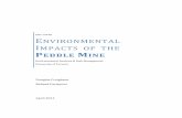 Environmental Impacts of the Pebble Mine · 2011-04-26 · Environmental Impacts of the Pebble Mine 2011 2 . EXECUTIVE SUMMARY Development of the Pebble mine could potentially have