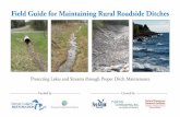 Field Guide for Maintaining Rural Roadside Ditches · Minnesota Sea Grant is funded by the National Oceanic and Atmospheric Administration and the University of Minnesota. 5. ...