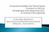 Linda Olga Nghatsane Agricultural Development Association … · 2013-08-21 · Linda Olga Nghatsane Agricultural Development Association Nelspruit, South Africa. 1. Background Information