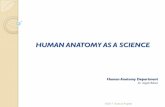 HUMAN ANATOMY AS A SCIENCE - USMF · Anatomy which studies the normal healthy organism is called normal anatomy, and vice versa anatomy that studies sick organism and the morbid changes