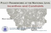 POLICY FRAMEWORKS AT THE NATIONAL LEVEL Incentives and ... · procurement manual, procedures and standards are currently under development • Formulation of legislation to promote