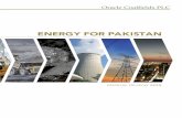 ENERGY FOR PAKISTAN - Oracle Power PLC · ORACLE COALFIELDS PLC 1 ANNUAL REVIEW 2015 tat pt A “No Objection Certificate” was issued by SEPA for the ESIA study for the mine on