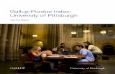 Gallup-Purdue Index: University of Pittsburgh · Gallup and Healthways developed the Gallup-Healthways Well-Being 5 View™ to measure these important aspects of a life well-lived.