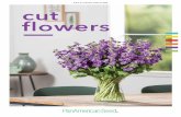 2019/2020 EDITION cut flowers - flowerbulbs.nl · cut flowers Confidence in Cuts Respected for over 50 years for our innovative breeding and ability to consistently supply professional