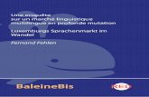 BaleineBis - Université du Luxembourg · cellule du CRP-Gabriel Lippmann, intégrée depuis fin 2007 à la nouvelle « Unité de recherche IPSE (Identités, Politiques, Sociétés,