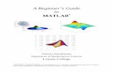 A Beginner’s Guide to - Loyola University Marylandmath.loyola.edu/~chidyagp/f19/Beginners_guide_to_MATLAB.pdfMATLAB a natural choice for numerical computations. The purpose of this