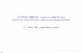 STAT599/BIOL599: Genomic Data Science Lecture 8: Genome ...people.stat.sc.edu/hoyen/Stat599/Lectures/Lecture8.pdf · GWAS Study Exploratory investigation of genotype-trait association