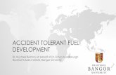 Accident Tolerant Fuel Developmentindico.ictp.it/event/8333/session/5/contribution/51/... · 2018-10-01 · • Pulsed laser deposition (PLD) ... The fuel system must be licensed