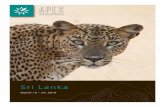 Sri Lanka Wildlife Safari | Brochure 2019 | Apex Expeditions...ruins of ancient royal palaces, with murals painted in natural dyes still retaining their color after centuries. Wildlife