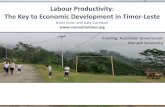 Labour Productivity: The Key to Economic Development in Timor …asiapacific.anu.edu.au/sites/default/files/images/... · 2018-06-28 · Labour Productivity. Improving productivity
