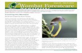 Newsletter - Wombat Forestcare · 2 Wombat Forestcare Newsletter - Issue 35 palette of fungal fragrances are those that resemble a suite of different plants. The bracket fungus, Curry