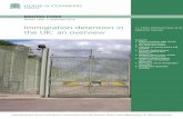 Immigration detention in the UK: an overview · 4 Immigration detention in the UK: an overview . Criticism of detention . The use of detention is one of the most controversial aspects