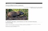 Nutria (Myocastor coypusNutria (Myocastor coypus) Ecological Risk Screening Summary U.S. Fish and Wildlife Service , June 2015 Web Version, 09/14/2017 ... Bekkou-tombo is related to