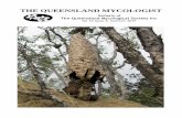 THE QUEENSLAND MYCOLOGIST - qldfungi.org.auqldfungi.org.au/wp-content/uploads/2011/12/QMS-Newsletter-Dec-2015.pdf · The Queensland Mycologist is issued quarterly. Members are invited