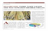 Sugarcane: Tamil nadu leadS The way TowardS higher yieldSefy.efymag.com/admin/issuepdf/26-28_Sugarcane_June-12.pdf · 2016-08-09 · of sugarcane. The erratic monsoon and fluctuating