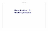 Respiration & Photosynthesiscontent.njctl.org/.../presentation-12-2011-08-30-1-slide-per-page.pdf · Photosynthesis uses the energy in sunlight to generate oxygen and glucose; while