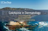 Colchicine in Dermatology F051 - Schneider - 13551...•Colchicine primarily works by inhibiting β-tubulin polymerization, thereby inhibiting microtubule-dependent cellular functions