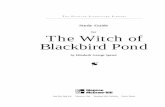for The Witch of Blackbird Pond - Glencoe/McGraw-Hillww.glencoe.com/sec/literature/litlibrary/pdf/witch_of_blackbird_pond.pdf · for The Witch of Blackbird Pond by Elizabeth George
