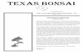 WINTEr 2010 TEXAS BONSAI - Austin Bonsai Society · TEXAS BONSAI 3 WINTEr 2010 The Fort Worth Bonsai Society by Steven Hendricks The Fort Worth Bonsai Society was founded on April