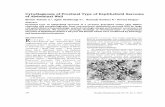 Cytodiagnosis of Proximal Type of Eepithelioid Sarcoma of ...Cytodiagnosis of Proximal Type of Eepithelioid Sarcoma of Abdominal Wall Abstract Proximal type of epithelioid sarcoma