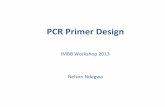 PCRPrimer$Design$ - CGIARPrimer$Pair$Matching$ • Primers$work$in$pairs$–forward$primer$and$reverse$ primer. • Since$they$are$used$in$the$same$PCRreac@on,$the$PCR