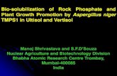 Bio-solubilization of Rock Phosphate and Plant Growth ... Session 1...Bio-solubilization of Rock Phosphate and Plant Growth Promotion by Aspergillus niger TMPS1 in Ultisol and Vertisol